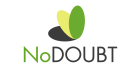 Doradztwo Gospodarcze NO DOUBT logo