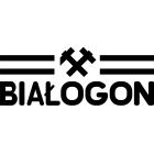 KIELECKA FABRYKA POMP BIAŁOGON S A logo