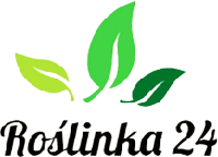 Dominika Miciuk logo