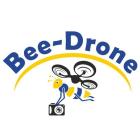 Bee-Drone Damian Koziołek logo