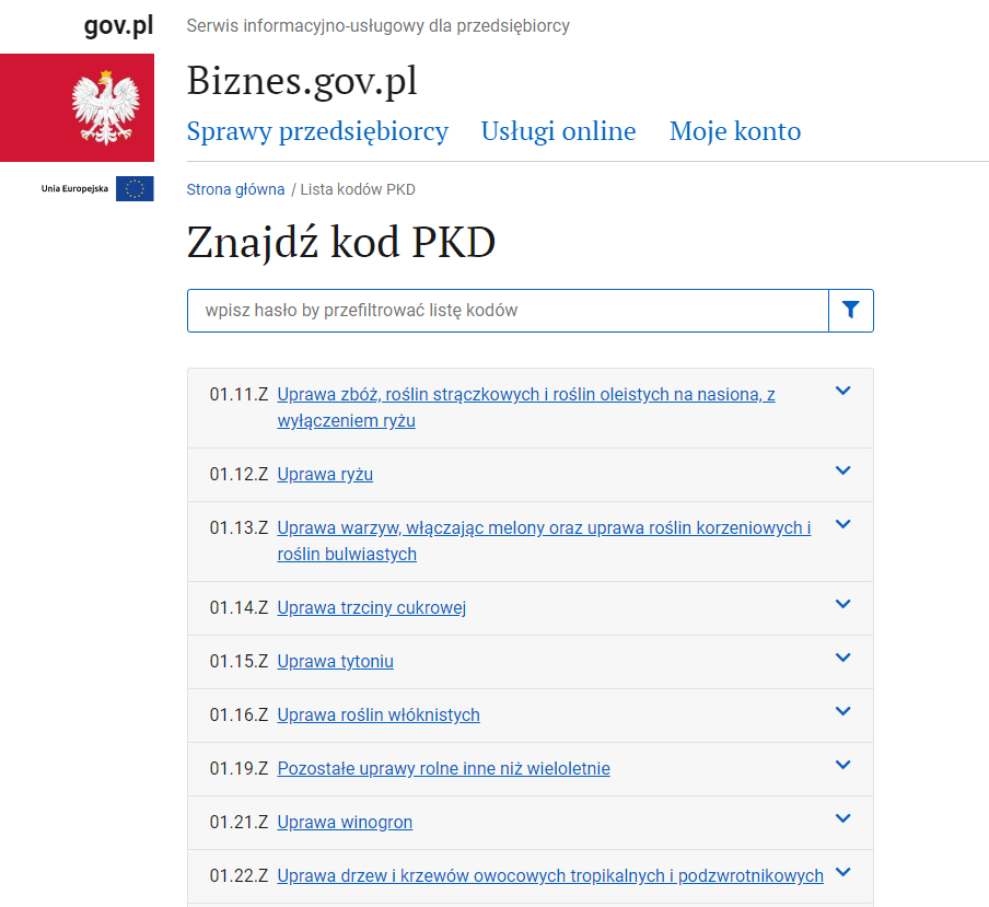 Screen strony do wyszukiwania kodów PKD